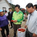 봉황마을 이미지