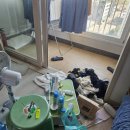 대전 탄방동 집안쓰레기 비용견적 논산 취암동 유품정리 이사 전 가정폐기물 처리업체