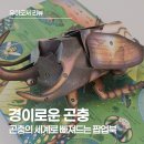 경이의세계 | 경이로운 곤충 팝업북 리뷰, 진짜 살아 움직이는 듯한 곤충들을 만나보세요!
