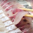 2025년8월6일[수]속초유럽수국 영랑호의 보물 수목정원, 바다향기로~외옹치동해바다 속초시장!! 이미지