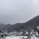 담양 리사 숲속마을 이미지