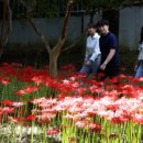 동춘당근린공원(2) 이미지