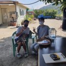 샤인농부협동조합 이미지