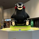 대신동 전차종점 표 | 쿠마몬의 고향 체험기~.~