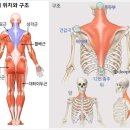 정혜윤뷰티솔루션