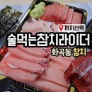 술먹는참치라이더