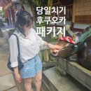 가마자원 | 후쿠오카 당일치기 버스 패키지 후기 내돈내산
