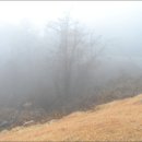 국원마을회관 이미지