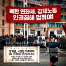 정외과의원 | 의회] 청소년외교관 4기, 모의유엔 멘토를 마치며 (대청의 멘토 후기/대한민국청소년의회 교육운영국)
