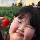 계명대 미소태권스쿨 | 계명대K태권스쿨, 태전동에서 꿈을 키우는 특별한 곳