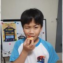 생활영어 | 왕초보영어 영어를 일상으로 자연스럽게, IVY 생활영어 후기