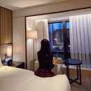 (주)위드윈덴탈 | 그랜드 인터컨티넨탈 서울 파르나스 수영장 조식 하이엔드 서울 강남 호텔