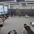 ORIGINAL MMA GYM 이미지