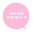 판교 사진관 몽그라피 강아지 증멍사진 강력 추천