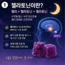 젤라토닌 효능 젤리 성분 복용법 내돈내산 후기 포함