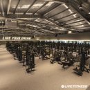 라이브 휘트니스 이미지