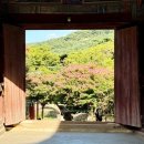송광사 관광안내소 | 함께 국가유산 순찰대(with 르무통) &#39;9월 산사의 길&#39; 이달의 혜택 &#39;양산 통도사&#39; 순찰 미션 수행 후기