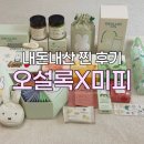 오땡큐제주지사 | 오설록X미피 콜라보 싹 쓸어 온 후기 | 미피 양우산, 그린티딸기랑드샤, 콜드브루 티, 보냉파우치...