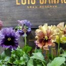 나눔농원 이미지