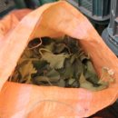 선환농장 이미지