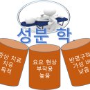 치료 및 치유 와 프로노이아가 다른 것은 이미지