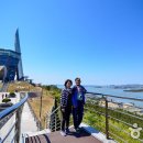 진도여라 이미지