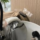 경주 헤드스파 영스칼프 용황 두피 스케일링 프라이빗 케어