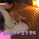 천수만수