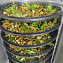 강골농장 이미지