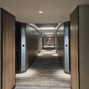 마티 인터내셔널 | 오키나와 차탄 더블트리 바이 힐튼 숙박 후기 | 수영장·불꽃놀이·러닝코스 정리