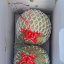 시우네농장 이미지