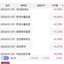 밀짚모자 이미지