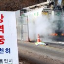 용인양돈 이미지