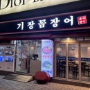 기장꼼장어 이미지