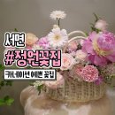 서면 꽃집 파스텔톤 카네이션이 예쁜 정원꽃집