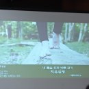 바른자세 아름다운 워킹 네이버블로그