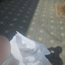 금하주유소 네이버블로그