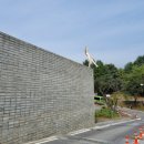 영월Y파크(술샘박물관) 이미지