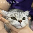 로잔동물의료센터 | 관악구 봉천동 동물병원 로잔동물의료센터 위치 오는길 후기