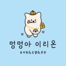 이리온(IRION) 이미지