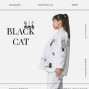 블랙캣주짓수 네이버블로그