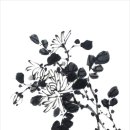 캘리수묵화 이미지