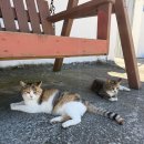 호두마을회관 이미지