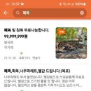한국목재 이미지