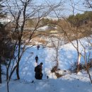 강화농원 이미지