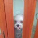 디바농장 이미지