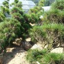 여주-0741 Daum카페