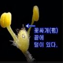 버드모아 이미지