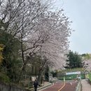양동여자중학교 | 황령산 등산코스 후기 : 양동여중에서 봉수대까지!!