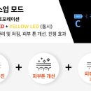 세지뷰티